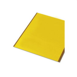 Phoenix Contact Etikett BMK 19X11 YE