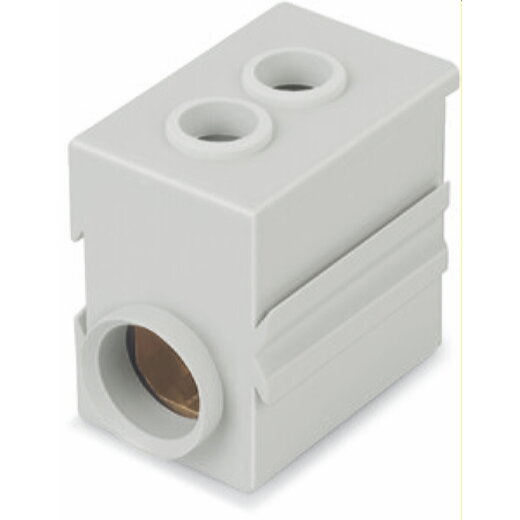 WAGO Einspeisemodul 35 mm? für Sicherungsklemmen der Serie 811 lichtgrau 811-471