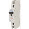 Eaton Electric Leitungsschutzschalter, Automat FAZ-C4/1-RT