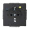 Busch-Jaeger Steckdoseneinsatz 3120 EUCB-81 anthrazit