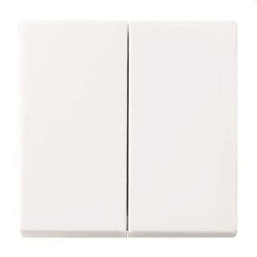 Busch-Jaeger Bedienelement 6736 FoH-914 2fach