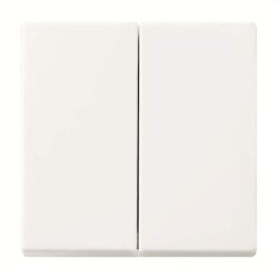 Busch-Jaeger Bedienelement 6736 FoH-914 2fach