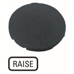 Eaton Electric Tastenplatte M22-XD-S-GB17