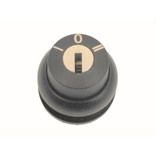 Eaton Electric Schlüsseltaste M22S-WRS-MS*-A1