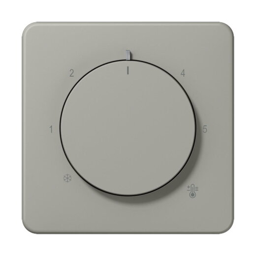 Jung Abdeckung für Raumtemperaturregler-Einsätze, Thermoplast lackiert, Serie CD, platin CD1749BFPT