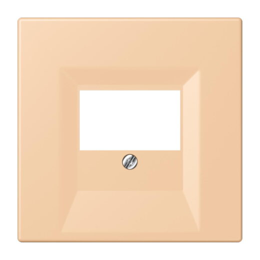 Jung Abdeckung für TAE-Anschlussdosen, Thermoplast lackiert, Serie LS, terre sienne claire 31 LC969T237