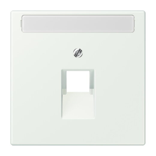 Jung Abdeckung für IAE/UAE-Anschlussdosen 1 x 8-polig, mit Schriftfeld, Thermoplast lackiert, Serie LS, outremer gris LC969-1NAUA210