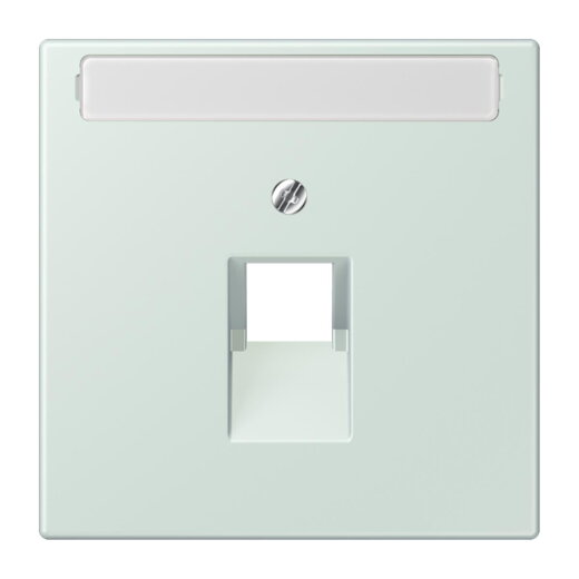 Jung Abdeckung für IAE/UAE-Anschlussdosen 1 x 8-polig, mit Schriftfeld, Thermoplast lackiert, Serie LS, céruléen pale LC969-1NAUA215