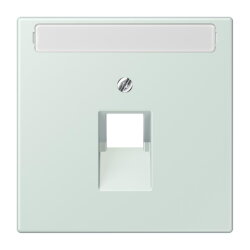 Jung Abdeckung für IAE/UAE-Anschlussdosen...