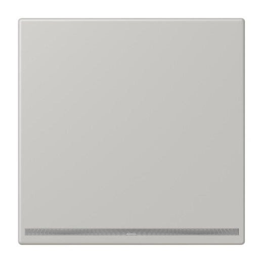 Jung LED-Orientierungslicht, Thermoplast lackiert, Serie LS, gris clair 31 LC1539-OOLNW205