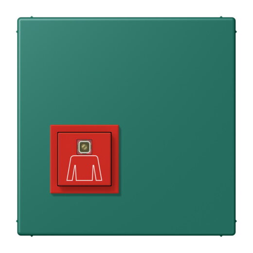 Jung Notrufsystem Ruftaster, Serie LS, vert anglais NRSLC0834RT216