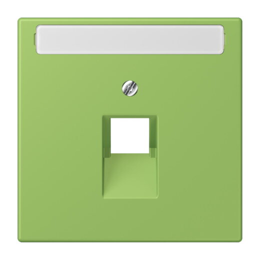 Jung Abdeckung für IAE/UAE-Anschlussdosen 1 x 8-polig, mit Schriftfeld, Thermoplast lackiert, Serie LS, vert 31 LC969-1NAUA220