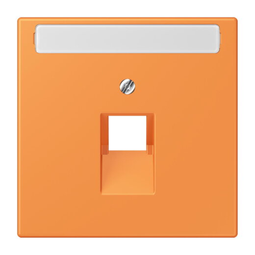 Jung Abdeckung für IAE/UAE-Anschlussdosen 1 x 8-polig, mit Schriftfeld, Thermoplast lackiert, Serie LS, orange clair LC969-1NAUA225