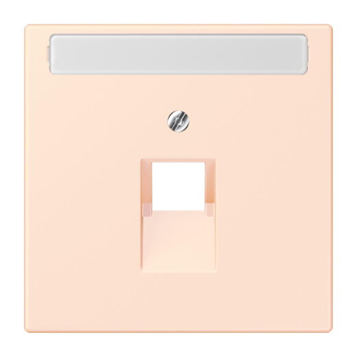 Jung Abdeckung für IAE/UAE-Anschlussdosen 1 x 8-polig, mit Schriftfeld, Thermoplast lackiert, Serie LS, orange pâle LC969-1NAUA226