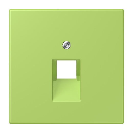 Jung Abdeckung für IAE/UAE-Anschlussdosen 1 x 8-polig, Thermoplast lackiert, Serie LS, vert clair LC969-1UA221