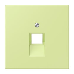 Jung Abdeckung für IAE/UAE-Anschlussdosen...