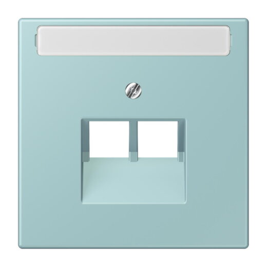 Jung Abdeckung für IAE/UAE-Anschlussdosen 2 x 8-polig, mit Schriftfeld, Thermoplast lackiert, Serie LS, céruléen clair LC969-2NAUA214