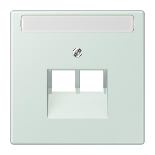 Jung Abdeckung für IAE/UAE-Anschlussdosen 2 x 8-polig, mit Schriftfeld, Thermoplast lackiert, Serie LS, céruléen pale LC969-2NAUA215
