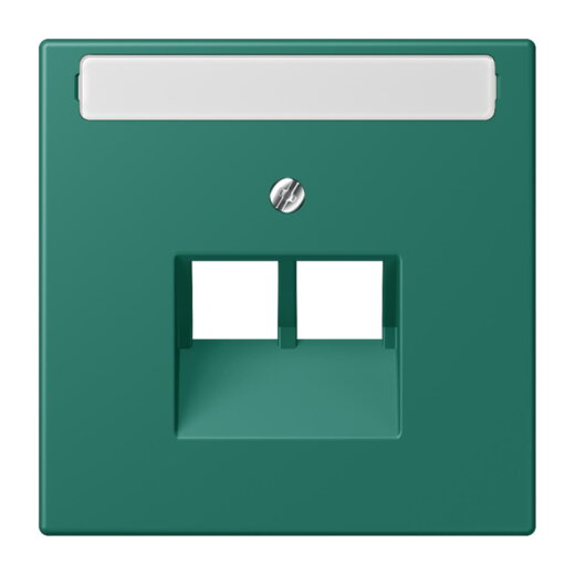 Jung Abdeckung für IAE/UAE-Anschlussdosen 2 x 8-polig, mit Schriftfeld, Thermoplast lackiert, Serie LS, vert anglais LC969-2NAUA216