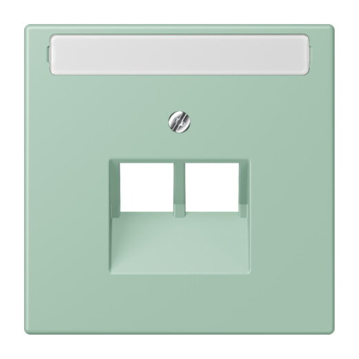 Jung Abdeckung für IAE/UAE-Anschlussdosen 2 x 8-polig, mit Schriftfeld, Thermoplast lackiert, Serie LS, vert anglais clair LC969-2NAUA217