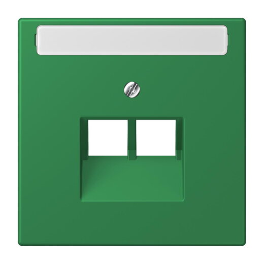 Jung Abdeckung für IAE/UAE-Anschlussdosen 2 x 8-polig, mit Schriftfeld, Thermoplast lackiert, Serie LS, vert foncé LC969-2NAUA219