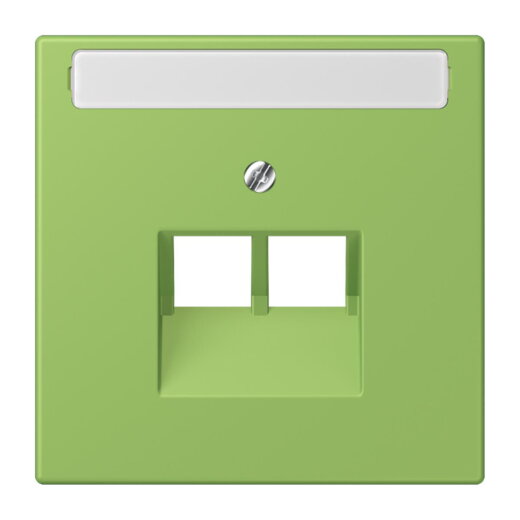 Jung Abdeckung für IAE/UAE-Anschlussdosen 2 x 8-polig, mit Schriftfeld, Thermoplast lackiert, Serie LS, vert 31 LC969-2NAUA220