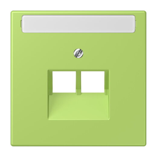 Jung Abdeckung für IAE/UAE-Anschlussdosen 2 x 8-polig, mit Schriftfeld, Thermoplast lackiert, Serie LS, vert clair LC969-2NAUA221