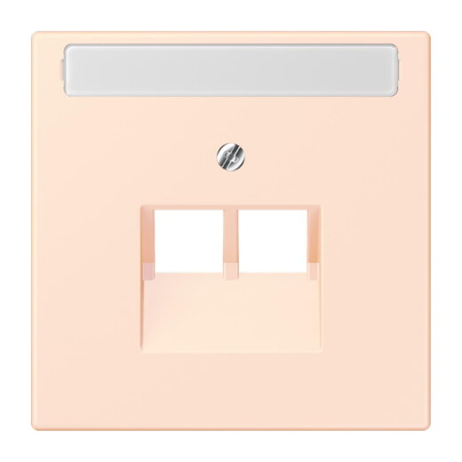 Jung Abdeckung für IAE/UAE-Anschlussdosen 2 x 8-polig, mit Schriftfeld, Thermoplast lackiert, Serie LS, orange pâle LC969-2NAUA226