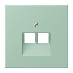 Jung Abdeckung für IAE/UAE-Anschlussdosen...