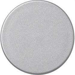 Gira Knopf 091026 System 55 alu