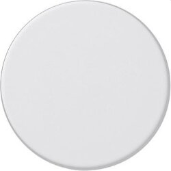 Gira Knopf 091027 System 55 reinweiss matt