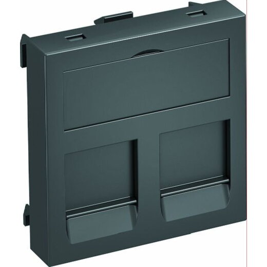 OBO Datentechnikträger DTG-2EP SWGR1 für 2 Anschlussmodule