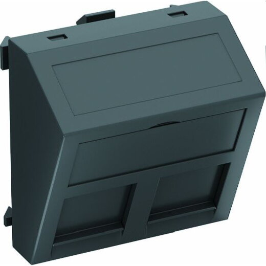 OBO Datentechnikträger DTS-2B SWGR1 für 2 Anschlussmodule