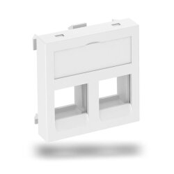 OBO Datentechnikträger DTG-02C RW1 f. 2 Module Typ C...