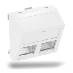 OBO Datentechnikträger DTS-02C RW1 f. 2 Module Typ C...