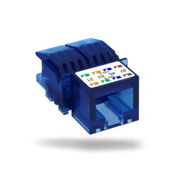 OBO Anschlussmodul ASM C 6