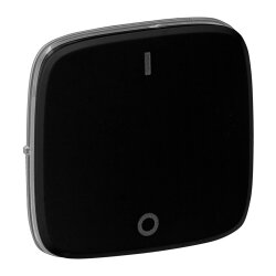 Legrand Wippe 755128 V.ALL AUSSCH. 2POL SW