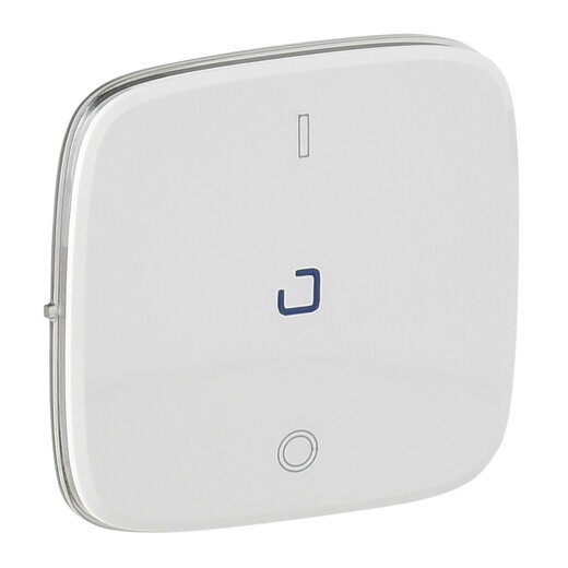 Legrand Wippe 755045 V.ALL AUSSCH.2P BEL. UW