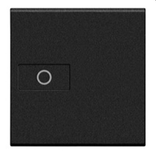 Bticino Wippe L4916M2A Licht 2m anthrazit