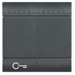 Bticino Wippe L4915M2FN 2m anthrazit