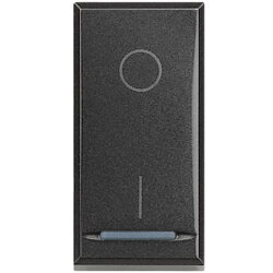 Bticino Ausschalter 2polig 20A anthrazit