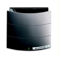 Busch-Jaeger Bedienelement 6320/10-20 1fach platin