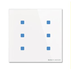 Busch-Jaeger Bedienelement TB/U6.5.11-CG 6fach