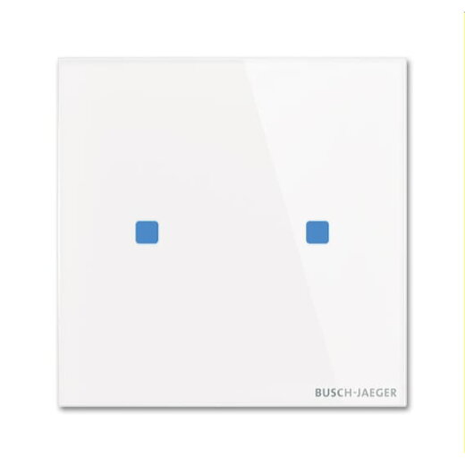 Busch-Jaeger Bedienelement TB/U2.5.11-CG 2fach