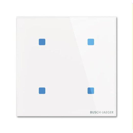 Busch-Jaeger Bedienelement TB/U4.5.11-CG 4fach