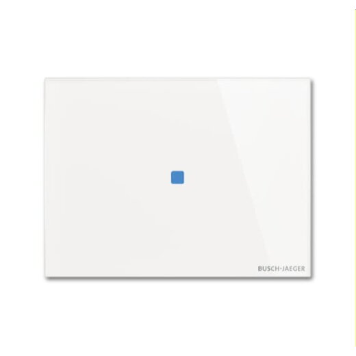 Busch-Jaeger Bedienelement TB/U1.2.11-CG 1fach