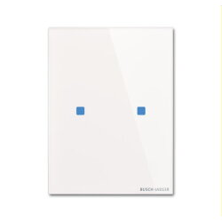 Busch-Jaeger Bedienelement TB/U2.7.11-CG 2fach