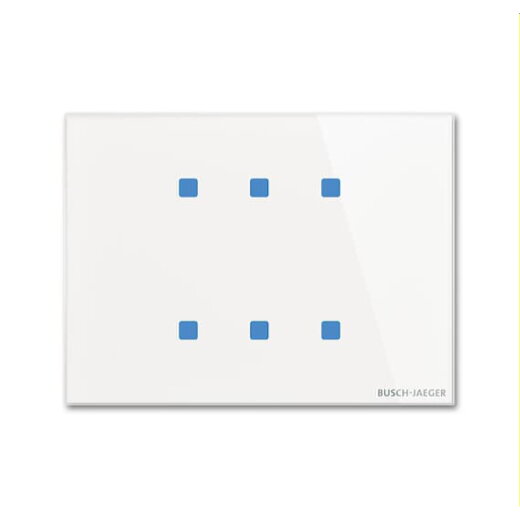 Busch-Jaeger Bedienelement TB/U6.7.11-CG 6fach