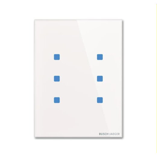 Busch-Jaeger Bedienelement TB/U6.8.11-CG 6fach
