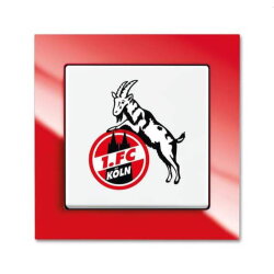 Busch-Jaeger Wechselschalter 2000/6 UJ/04 Köln